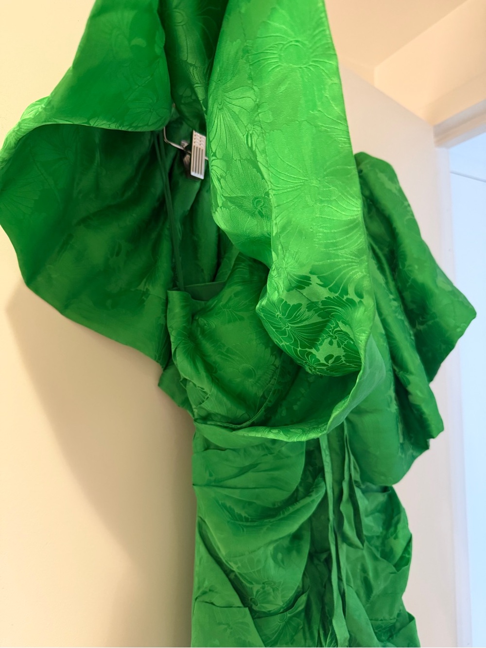 Ronny Kobo Mini Dress - Picture 6 of 6